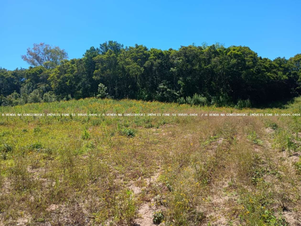 Sítio, 9 m² - Foto 17