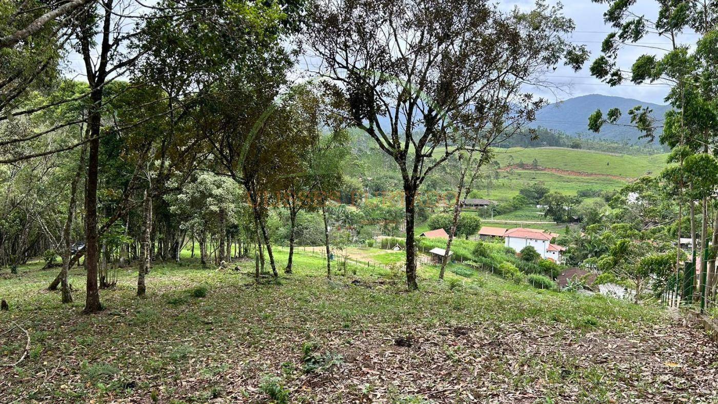 Terreno, 10000 m² - Foto 12