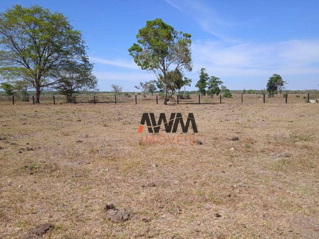Fazenda-Sítio-Chácara, 765 hectares - Foto 2