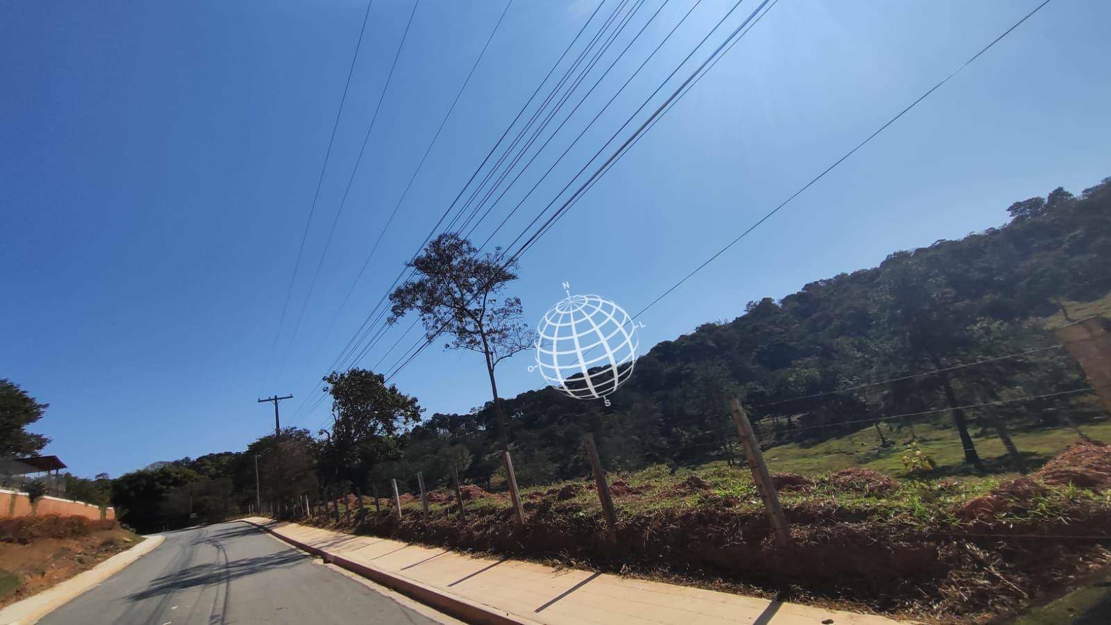 Terreno, 8 hectares - Foto 5