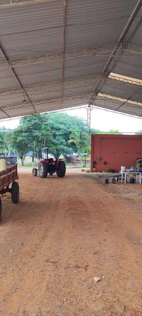 Fazenda-Sítio-Chácara, 136 hectares - Foto 23
