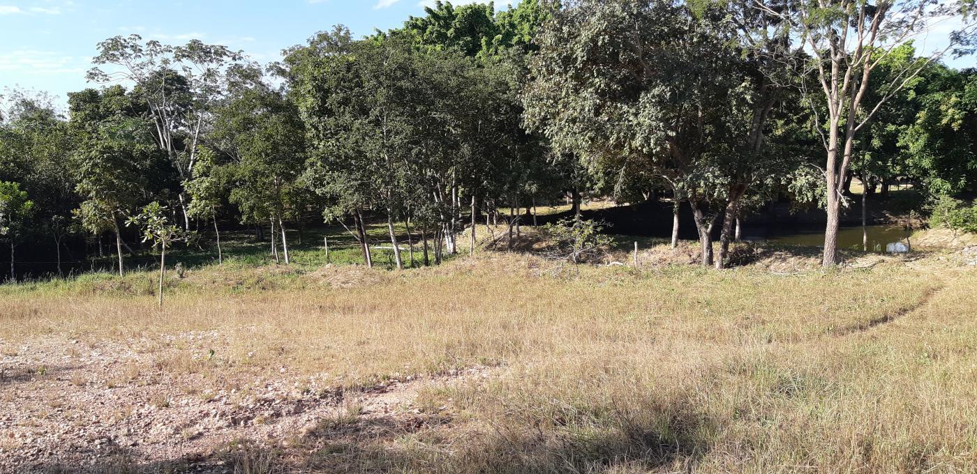 Chácara à venda com 3 quartos, 30000m² - Foto 36