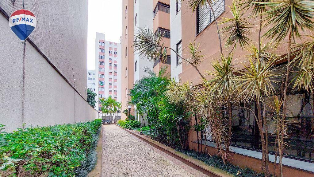 Apartamento para alugar com 3 quartos, 83m² - Foto 28