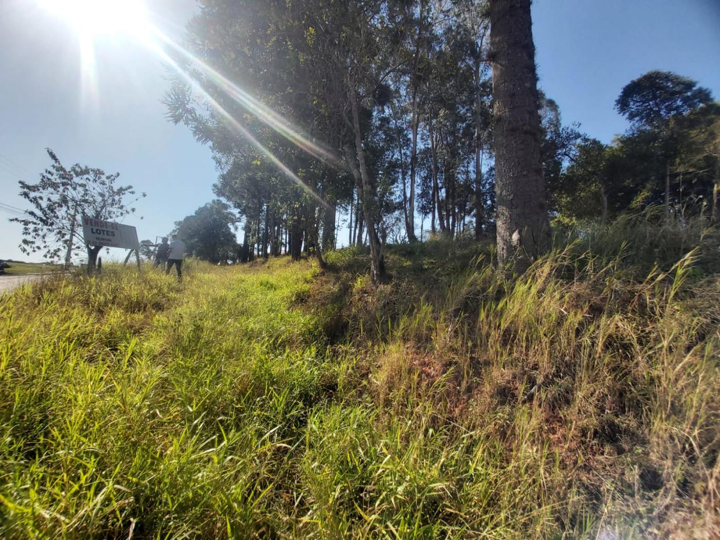 Terreno à venda, 902m² - Foto 9