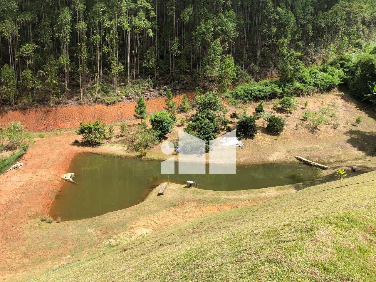 Fazenda, 25 hectares - Foto 5