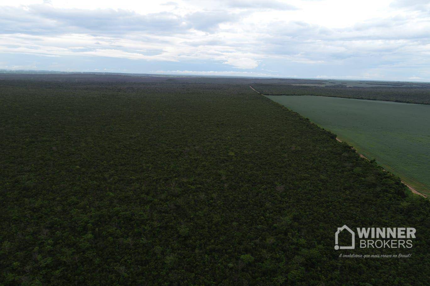 Fazenda-Sítio-Chácara, 563 hectares - Foto 2