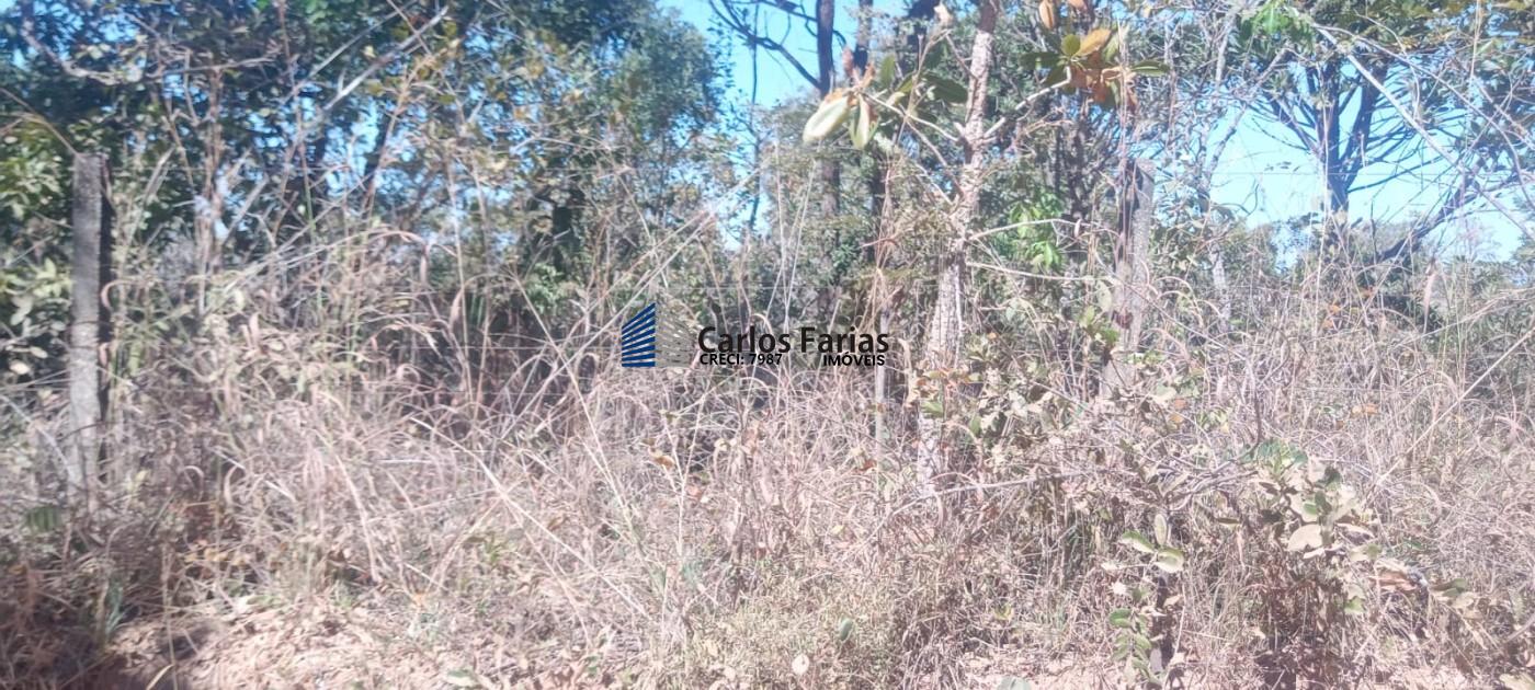 Chácara à venda, 21000m² - Foto 3