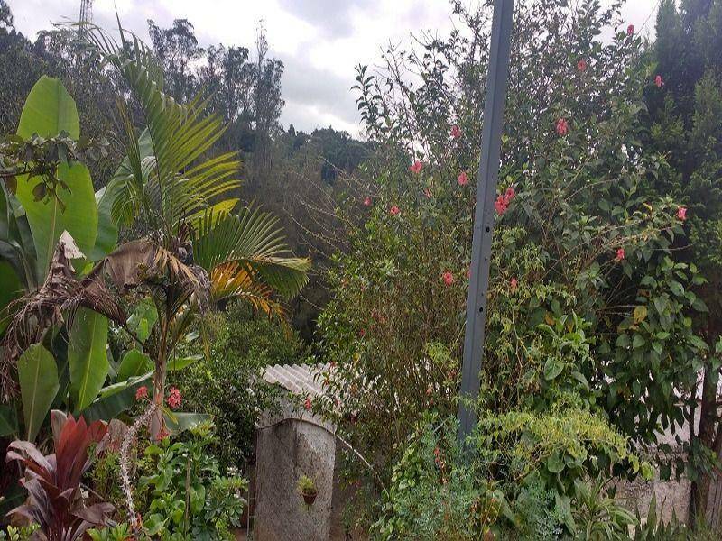 Chácara, 3 quartos, 1250 m² - Foto 17