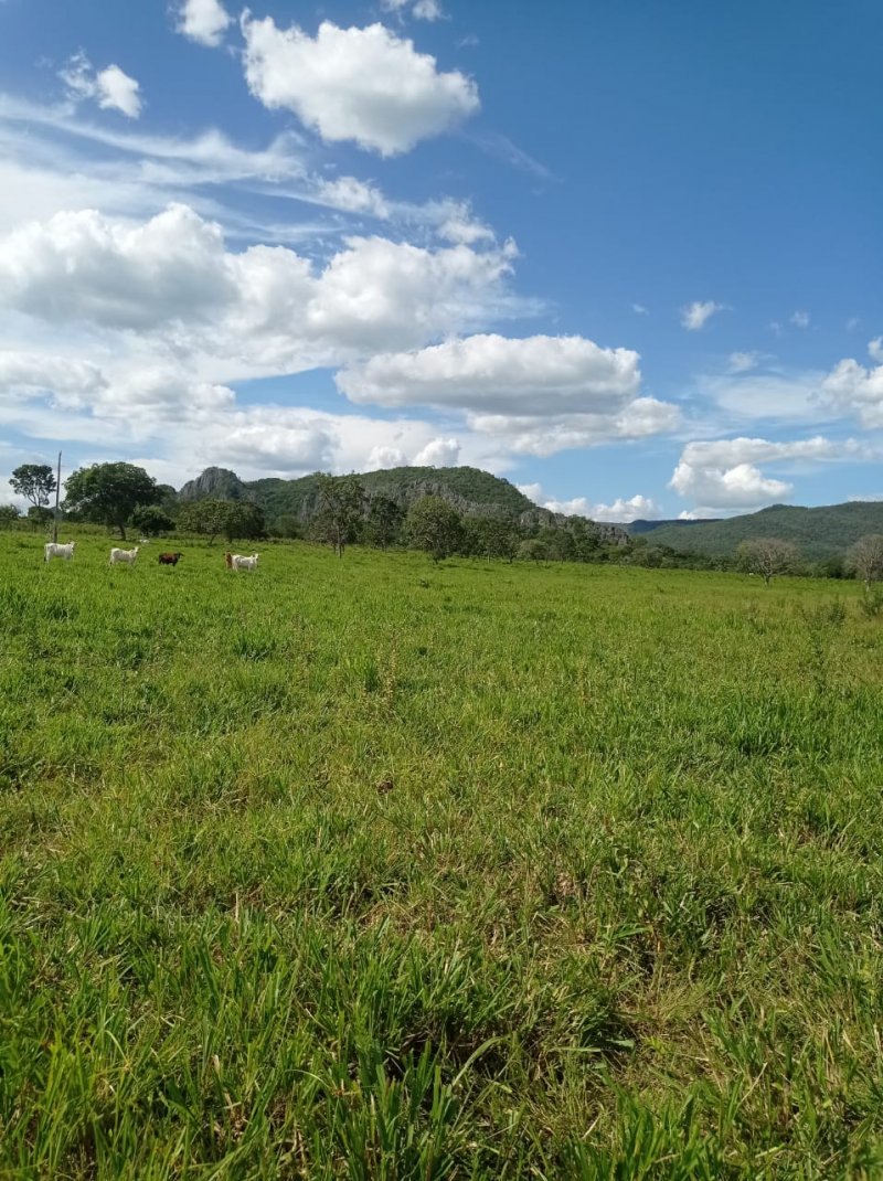 Fazenda à venda, 250m² - Foto 18