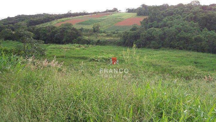 Terreno à venda, 137000M2 - Foto 6