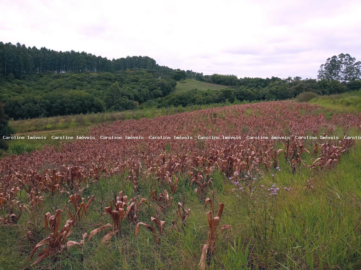 Chácara à venda, 45000m² - Foto 16