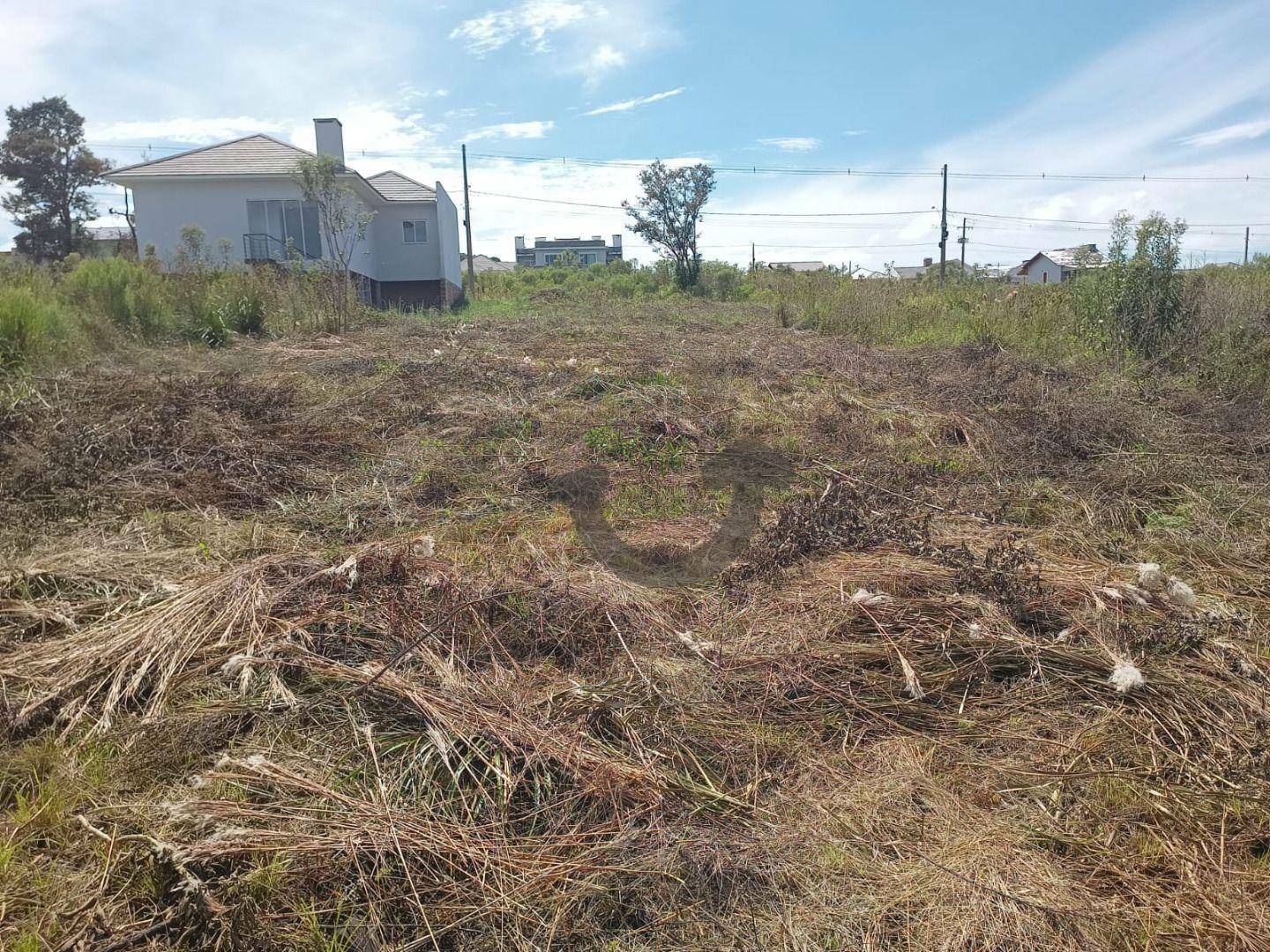 Loteamento e Condomínio à venda, 327M2 - Foto 2