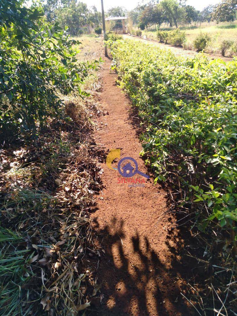 Loteamento e Condomínio à venda, 20000M2 - Foto 28