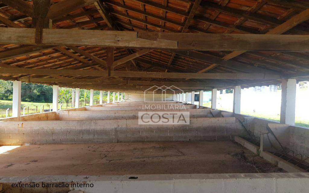 Sítio à venda com 4 quartos, 16600M2 - Foto 33
