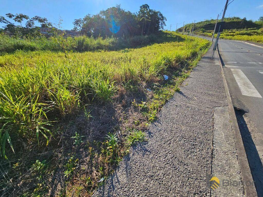 Loteamento e Condomínio à venda, 325M2 - Foto 13