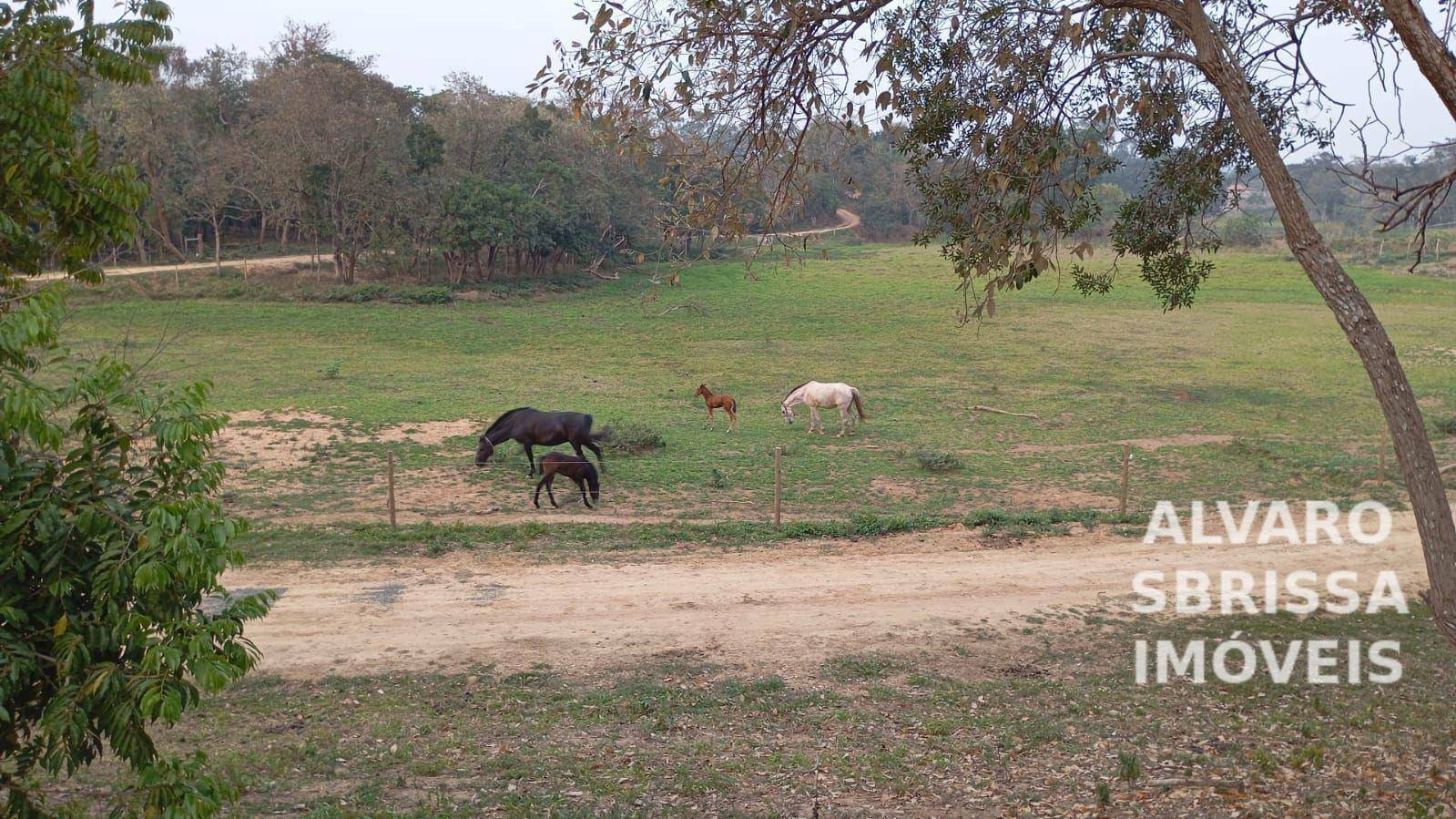 Haras e Área Rural Padrão à venda com 2 quartos, 65340M2 - Foto 1