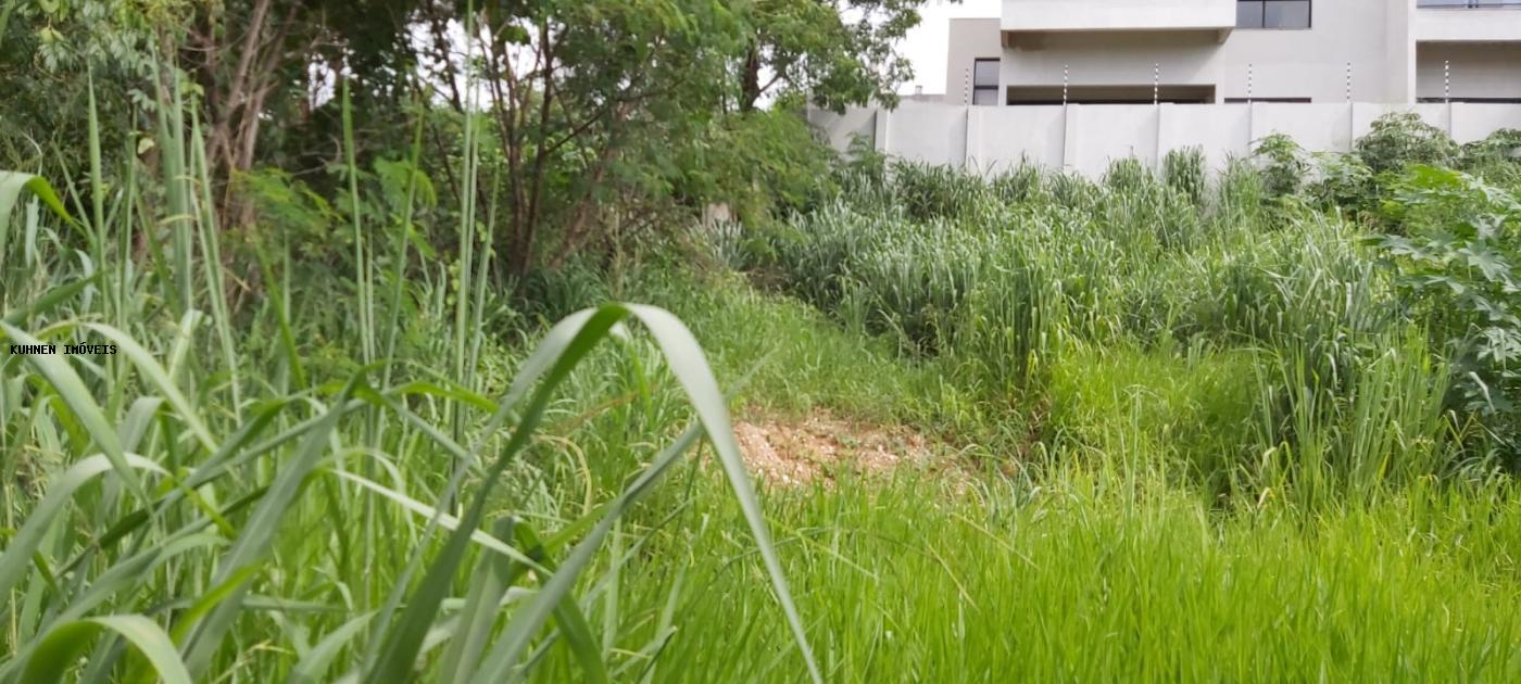 Terreno, 1440 m² - Foto 3