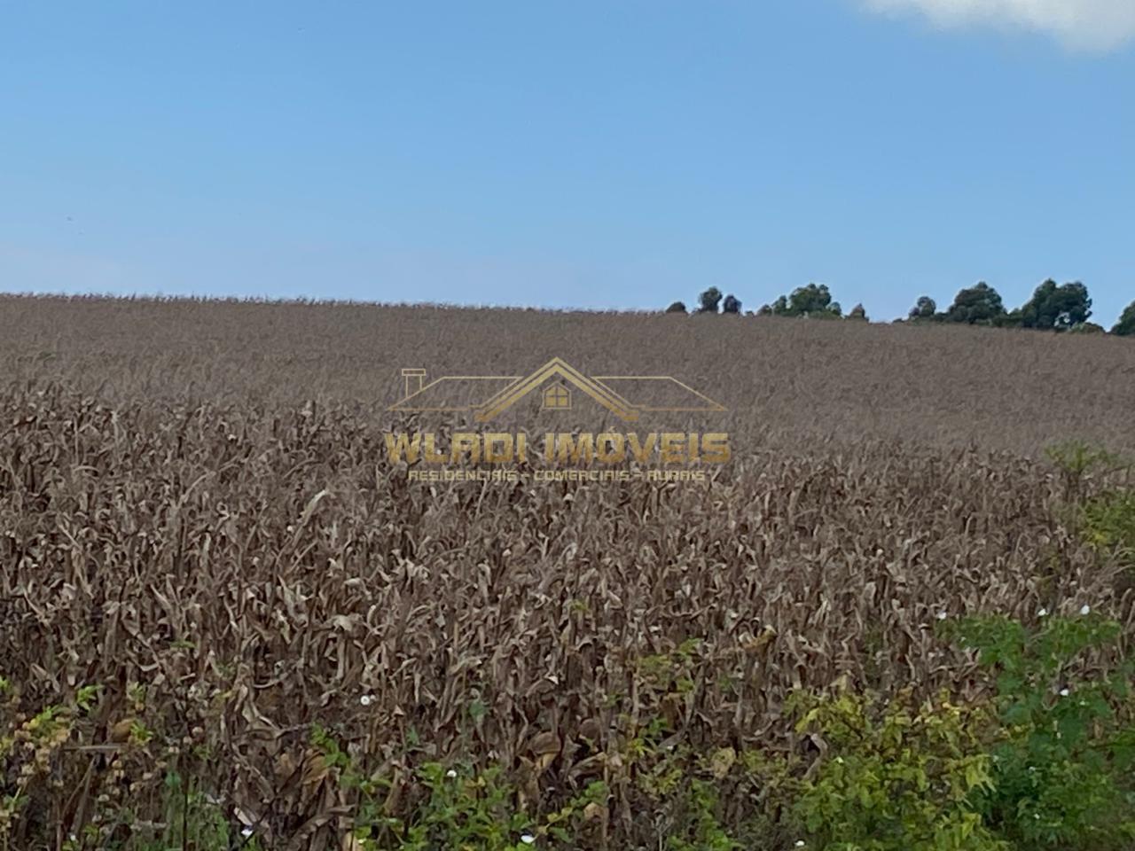 Fazenda-Sítio-Chácara, 70 m² - Foto 21