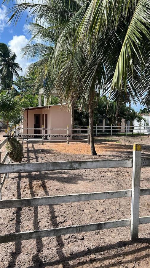 Fazenda à venda com 2 quartos, 6300m² - Foto 9