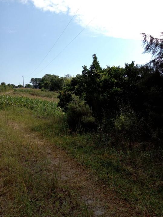 Fazenda à venda com 3 quartos, 130000m² - Foto 23