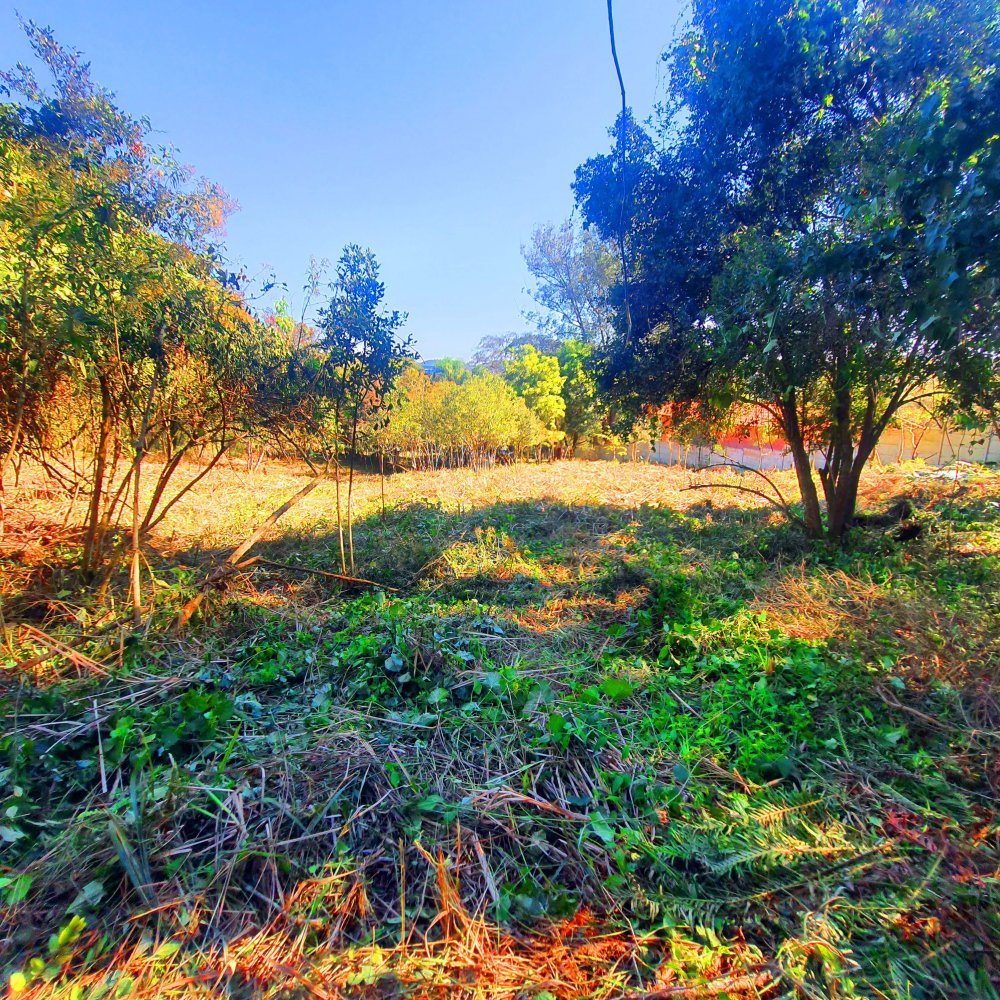 Terreno à venda, 1290m² - Foto 27