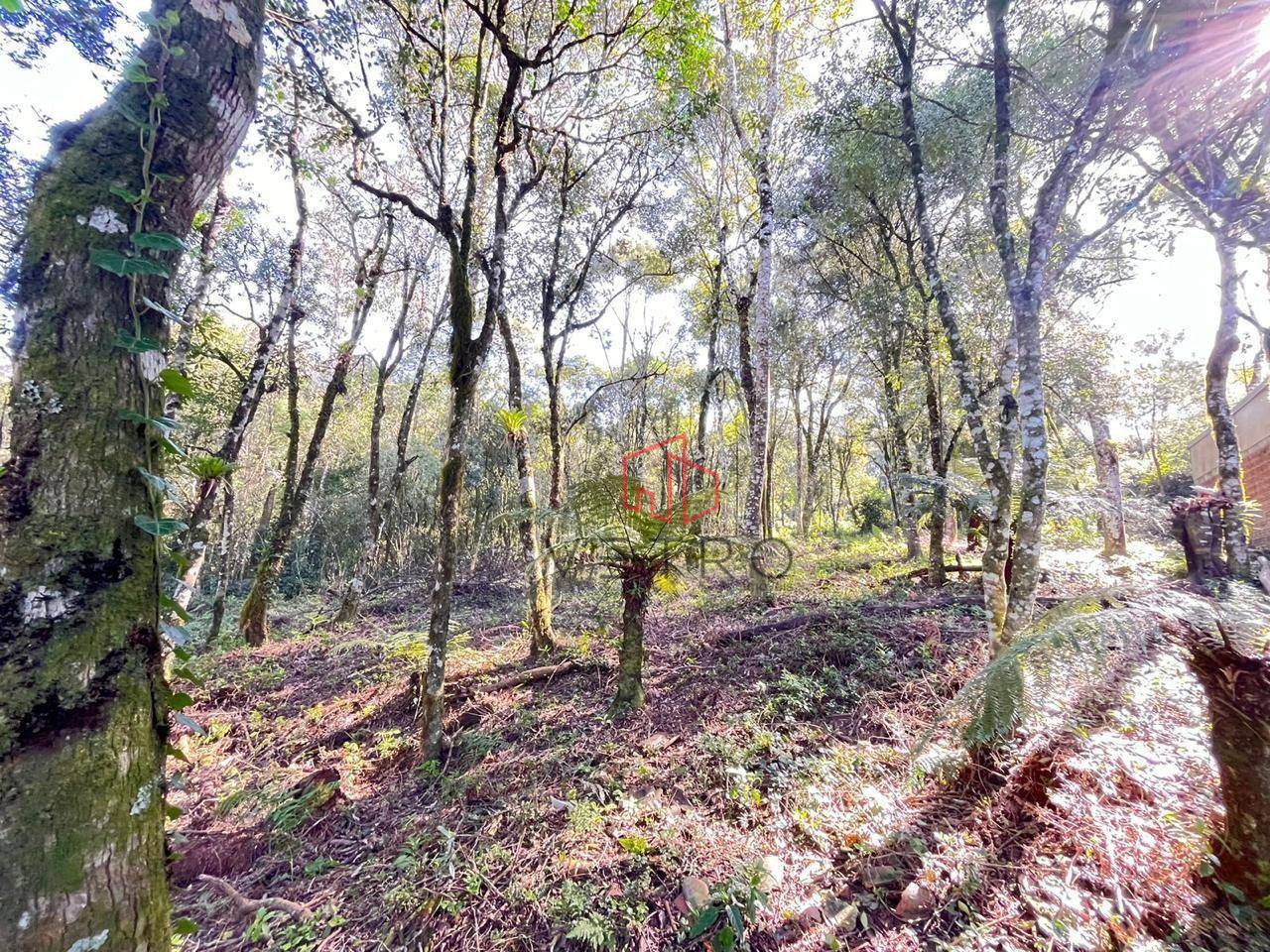 Terreno, 613 m² - Foto 5