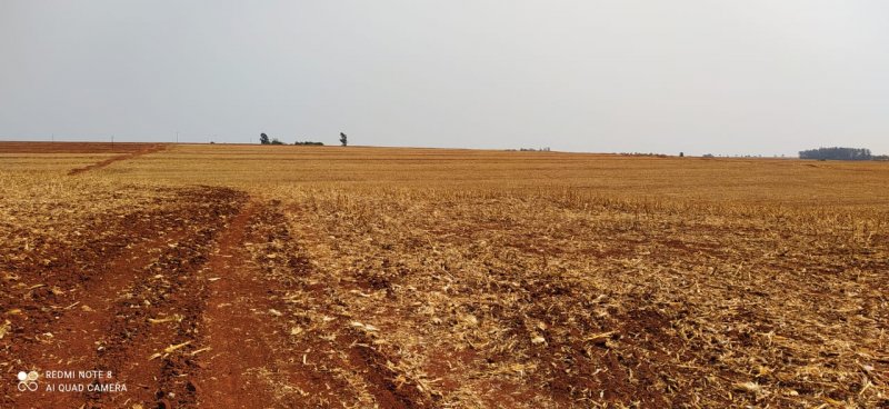 Fazenda-Sítio-Chácara, 108 hectares - Foto 4