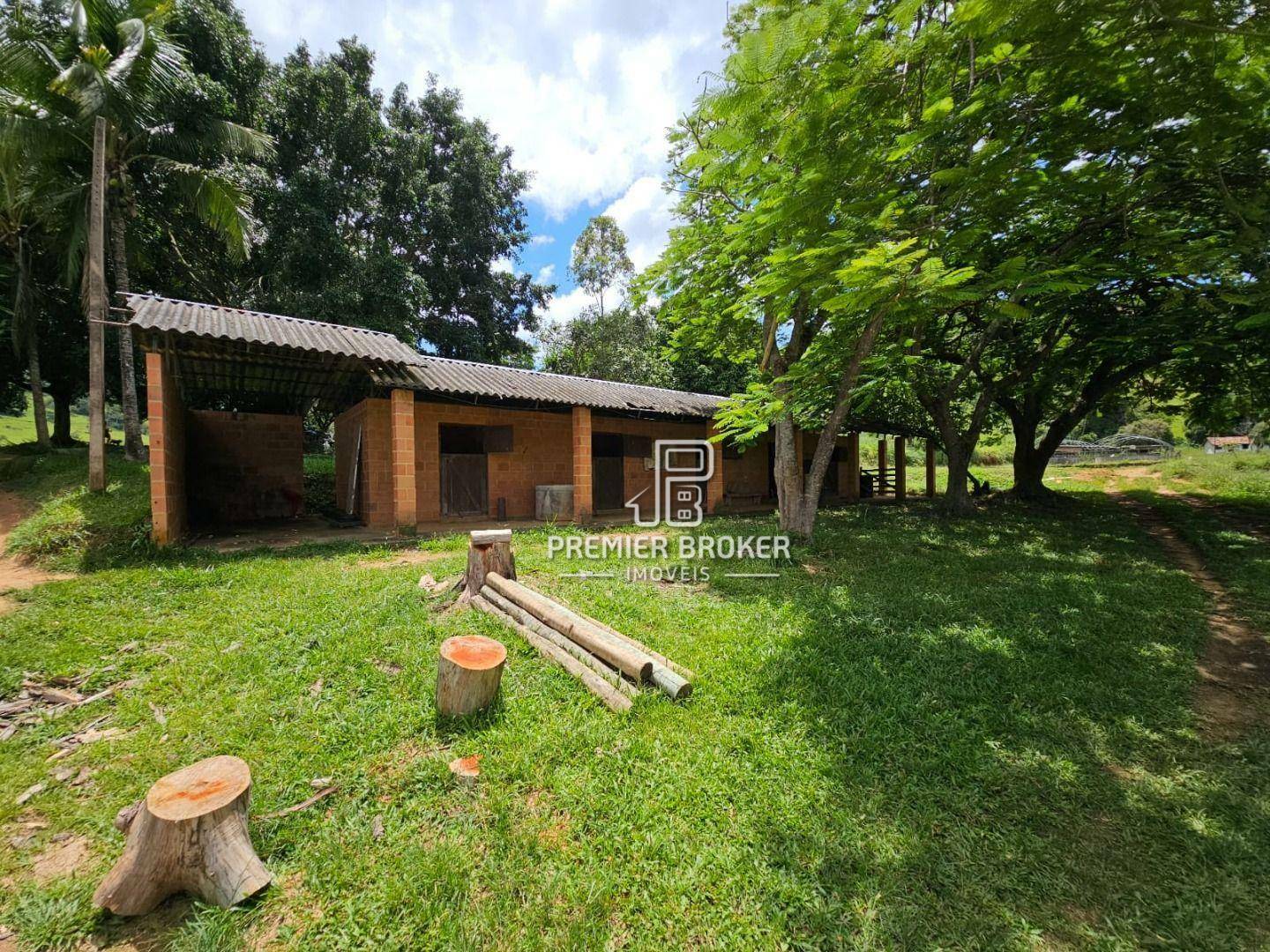 Fazenda à venda com 3 quartos, 250m² - Foto 15