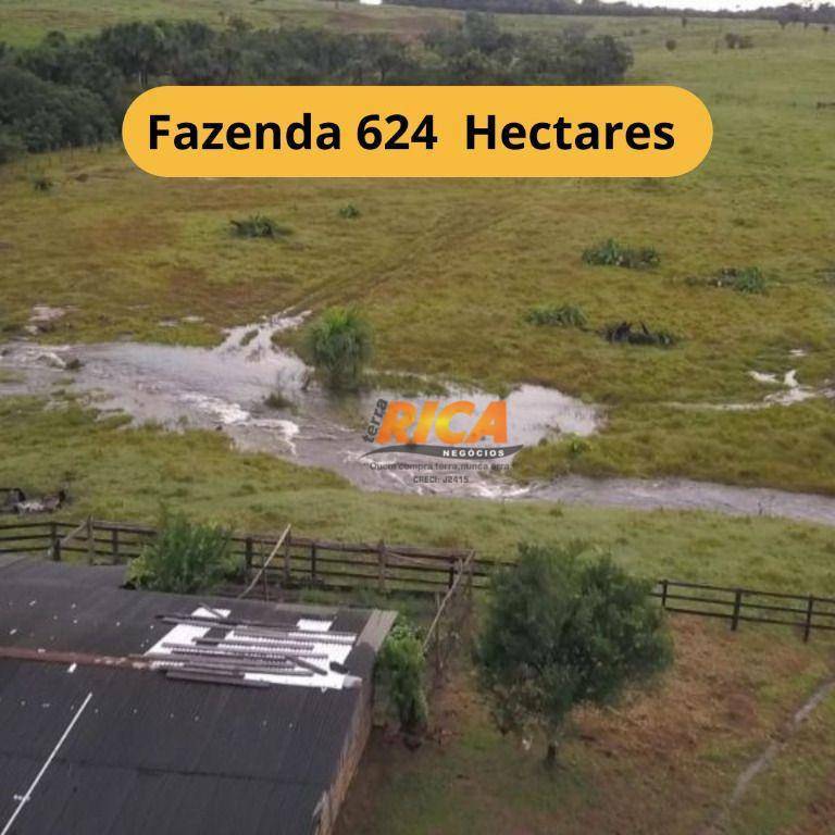 Fazenda-Sítio-Chácara, 624 hectares - Foto 1
