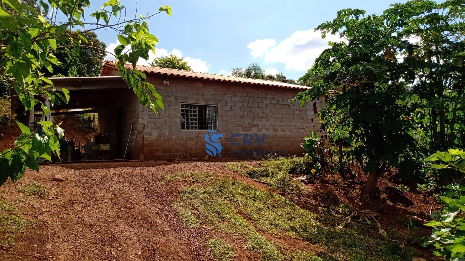 Sítio à venda com 3 quartos, 72600M2 - Foto 10