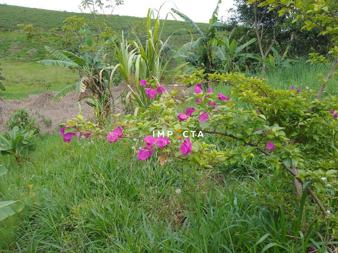 Chácara à venda com 2 quartos, 4000M2 - Foto 13