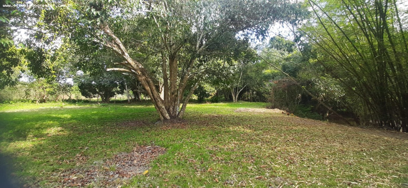 Chácara à venda com 50 quartos, 40000m² - Foto 14