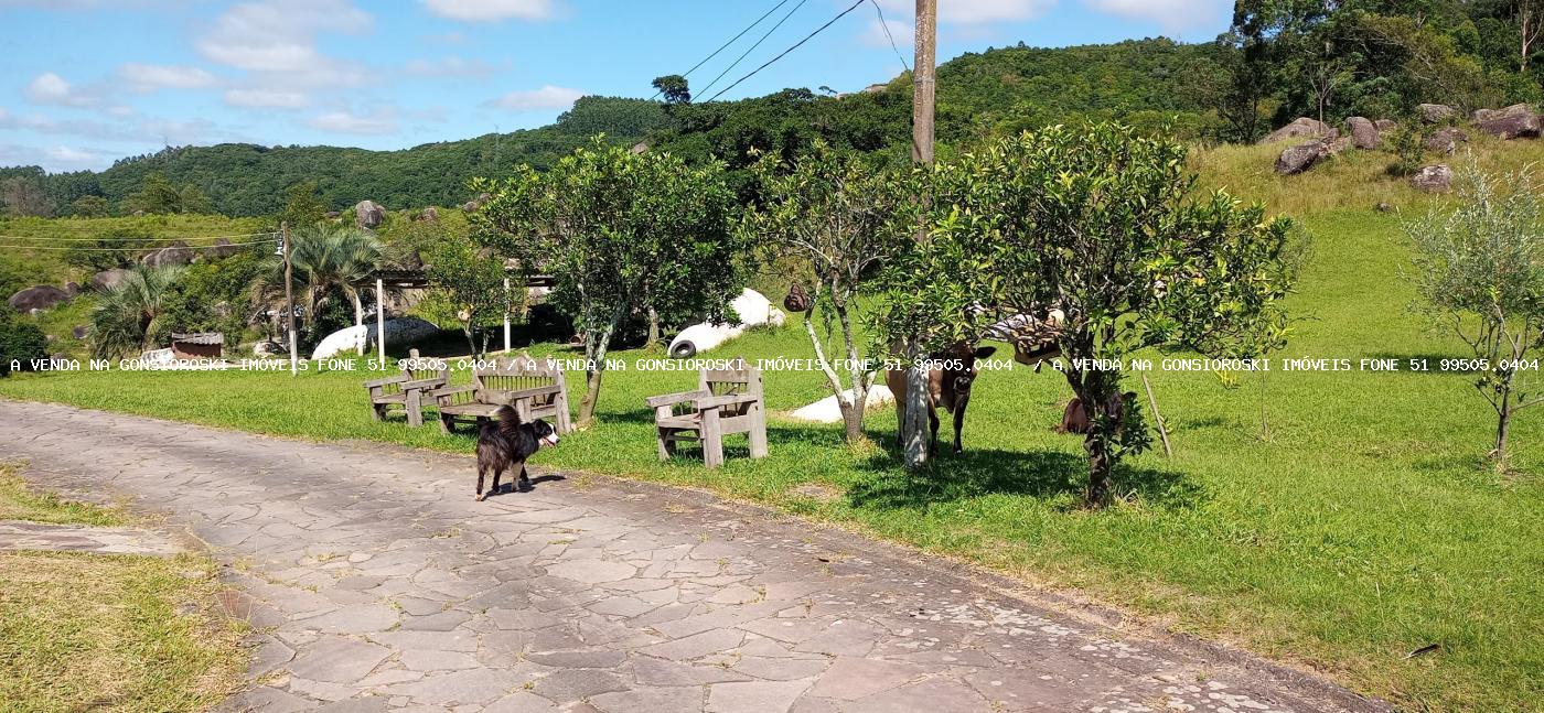 Fazenda à venda com 2 quartos, 600000m² - Foto 27