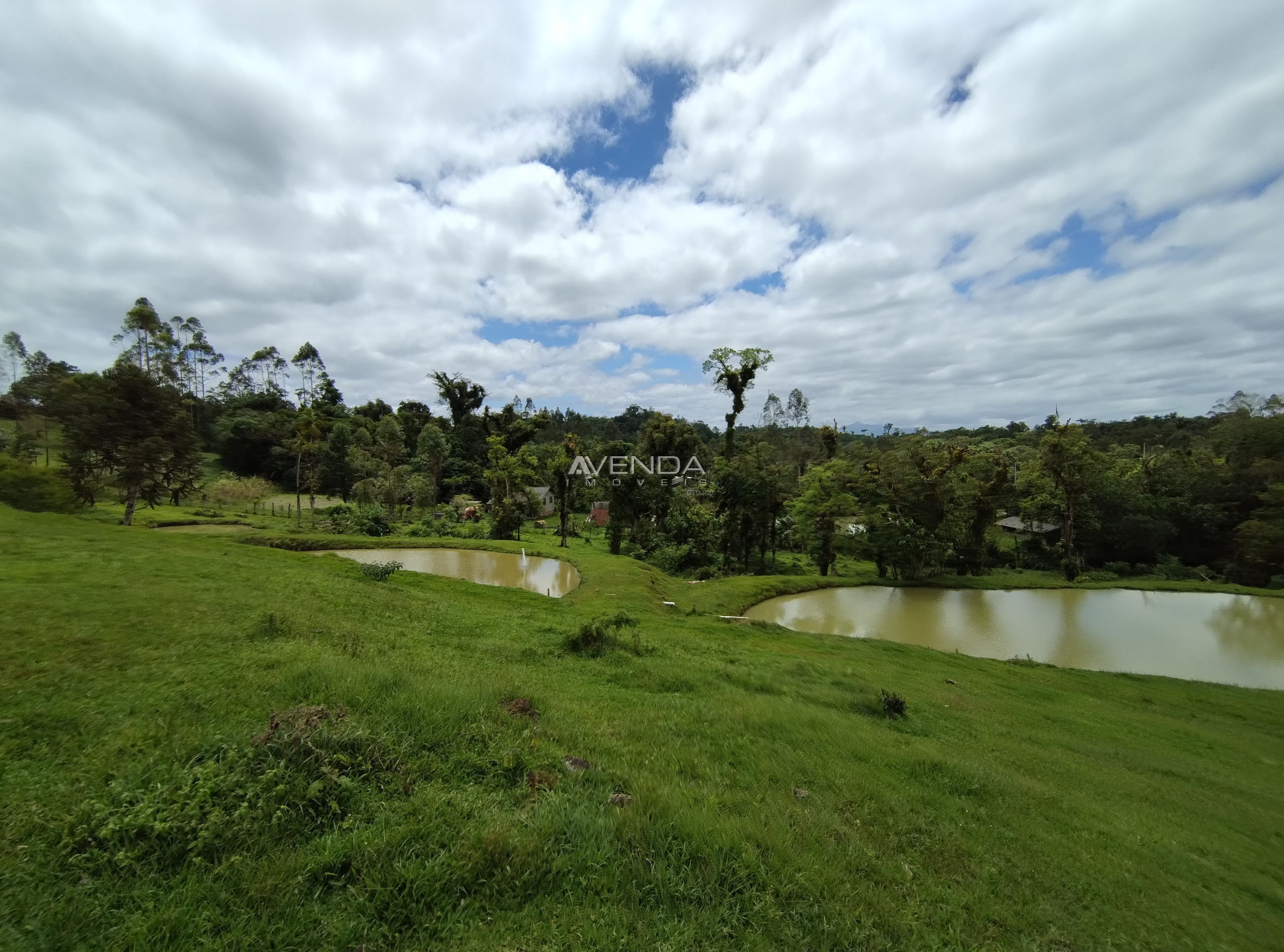 Fazenda à venda com 6 quartos, 208036m² - Foto 25