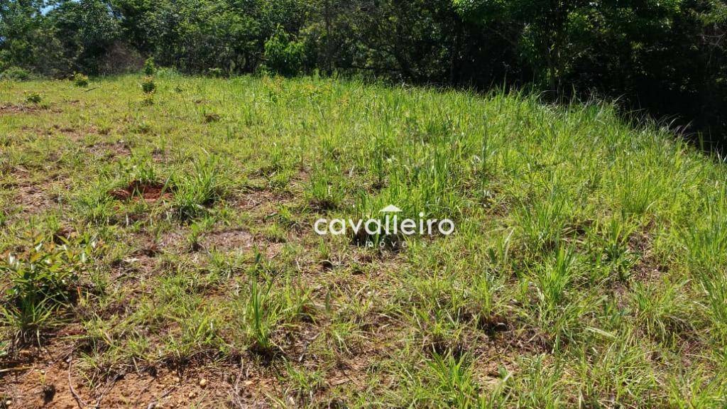 Terreno à venda, 5980M2 - Foto 2
