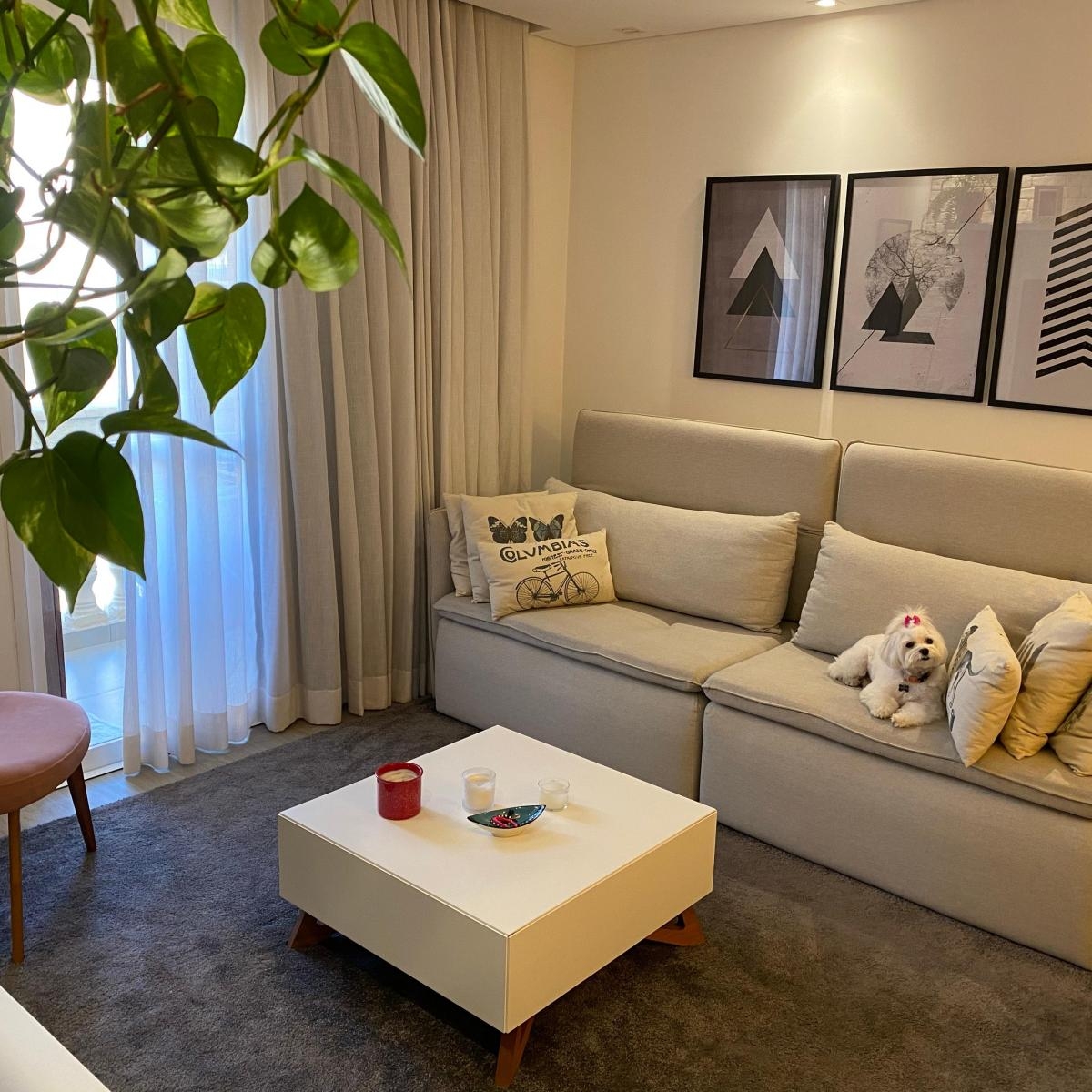 Apartamento à venda com 2 quartos, 65m² - Foto 1