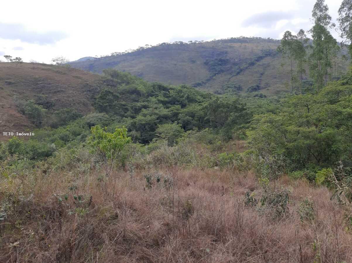 Fazenda à venda com 3 quartos, 4m² - Foto 40