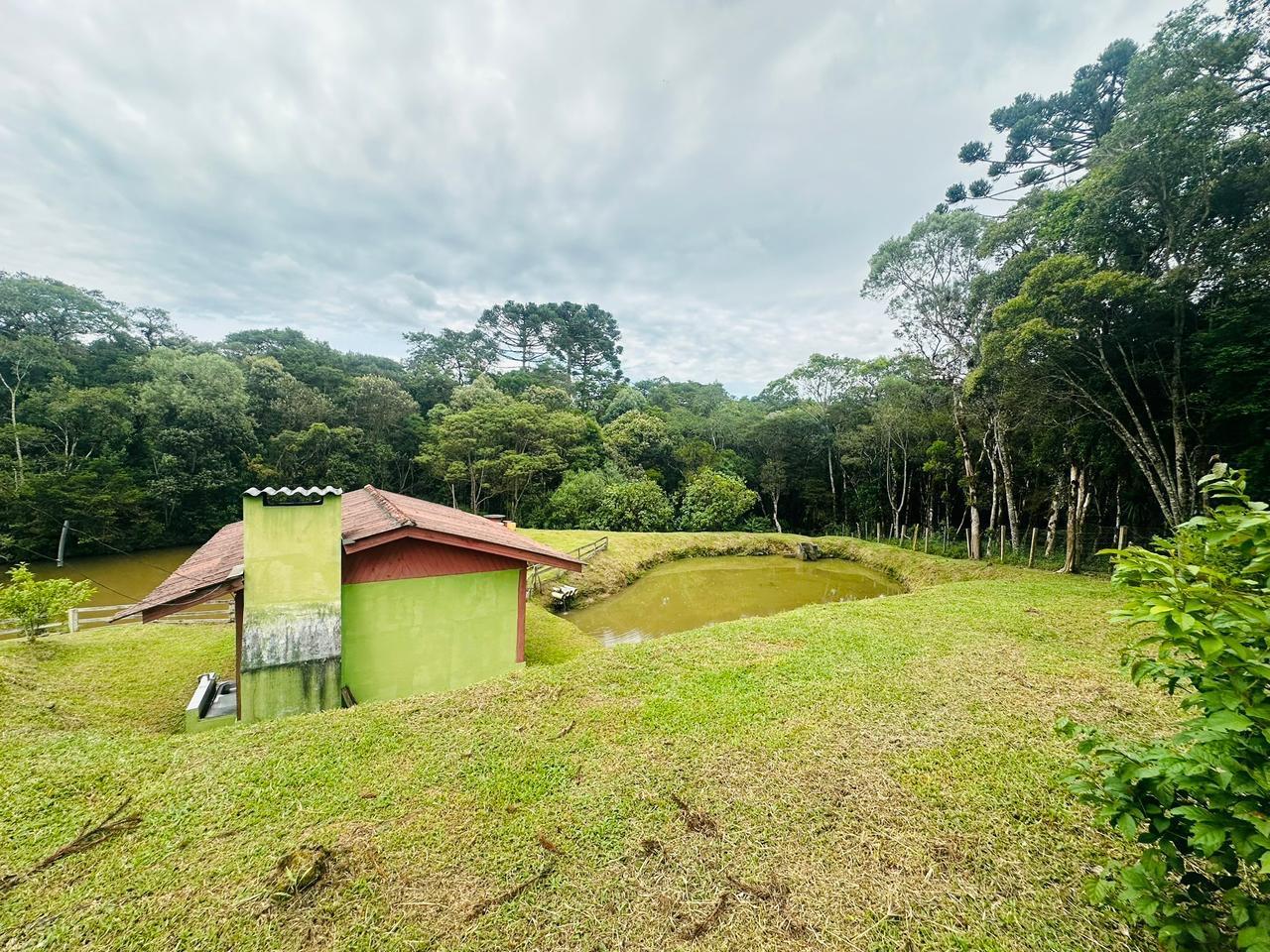 Fazenda à venda com 3 quartos, 8000m² - Foto 42