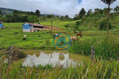 Chácara, 2 hectares - Foto 30