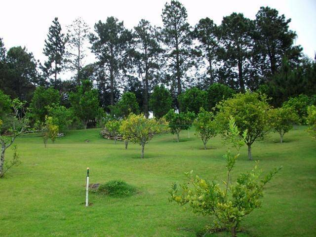 Fazenda à venda com 3 quartos, 400m² - Foto 5