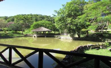 Fazenda à venda com 3 quartos, 33200m² - Foto 9