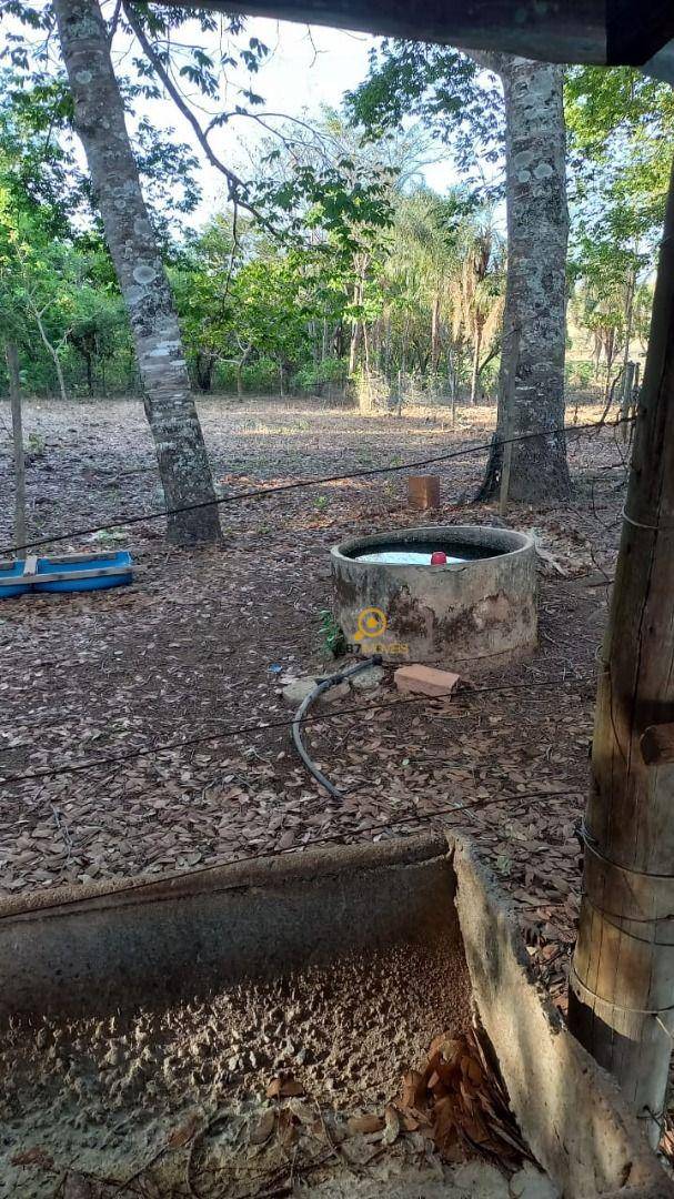 Chácara, 3 quartos, 2 hectares - Foto 4