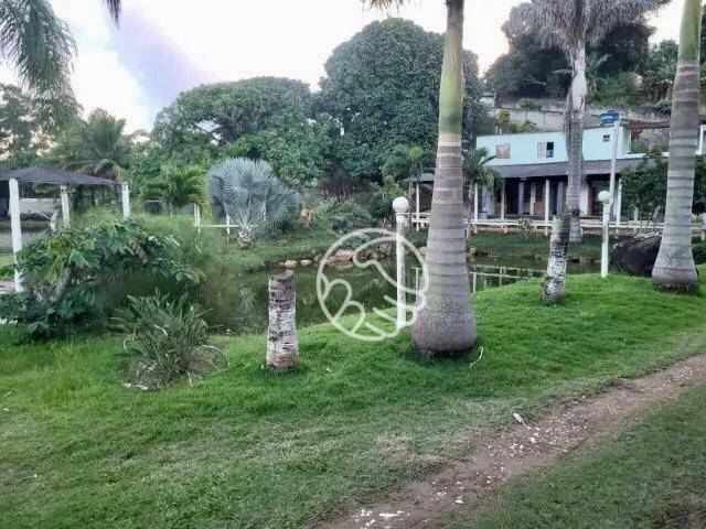 Chácara, 2 quartos, 7705 m² - Foto 4