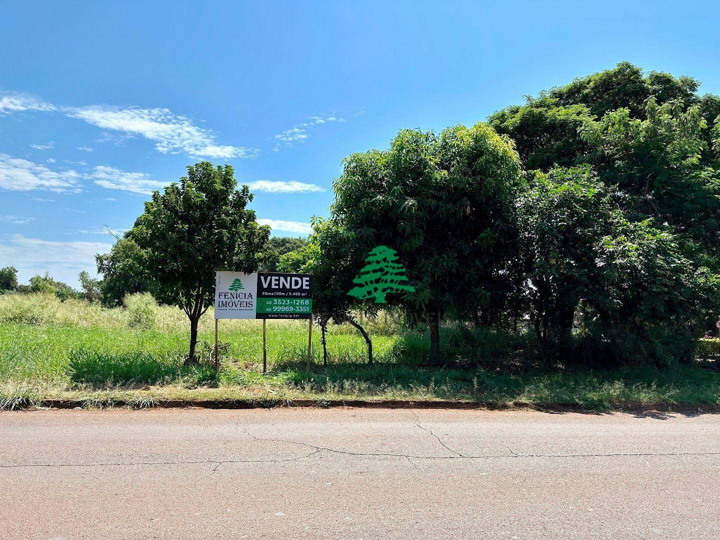 Terreno à venda, 5000M2 - Foto 3