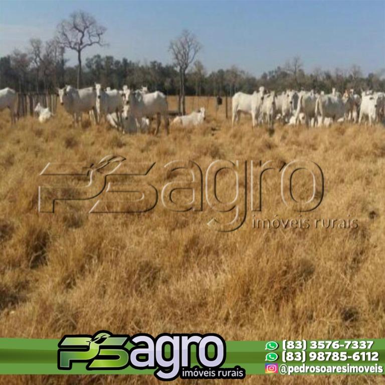 Fazenda à venda, 70000000M2 - Foto 3