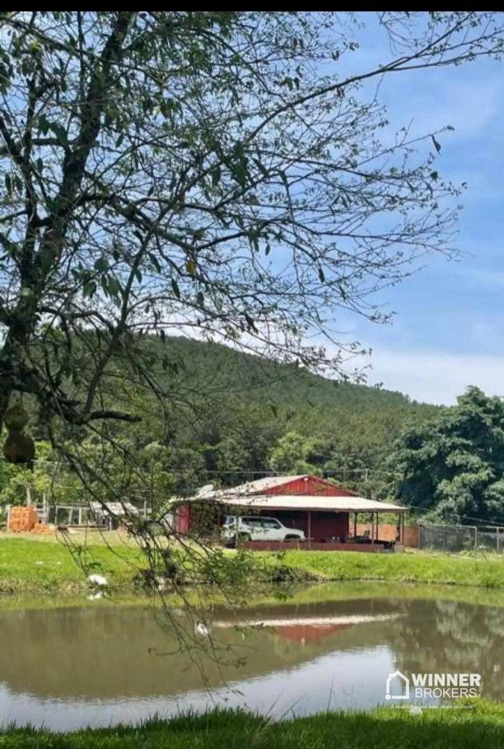 Chácara, 4 quartos, 4 hectares - Foto 2