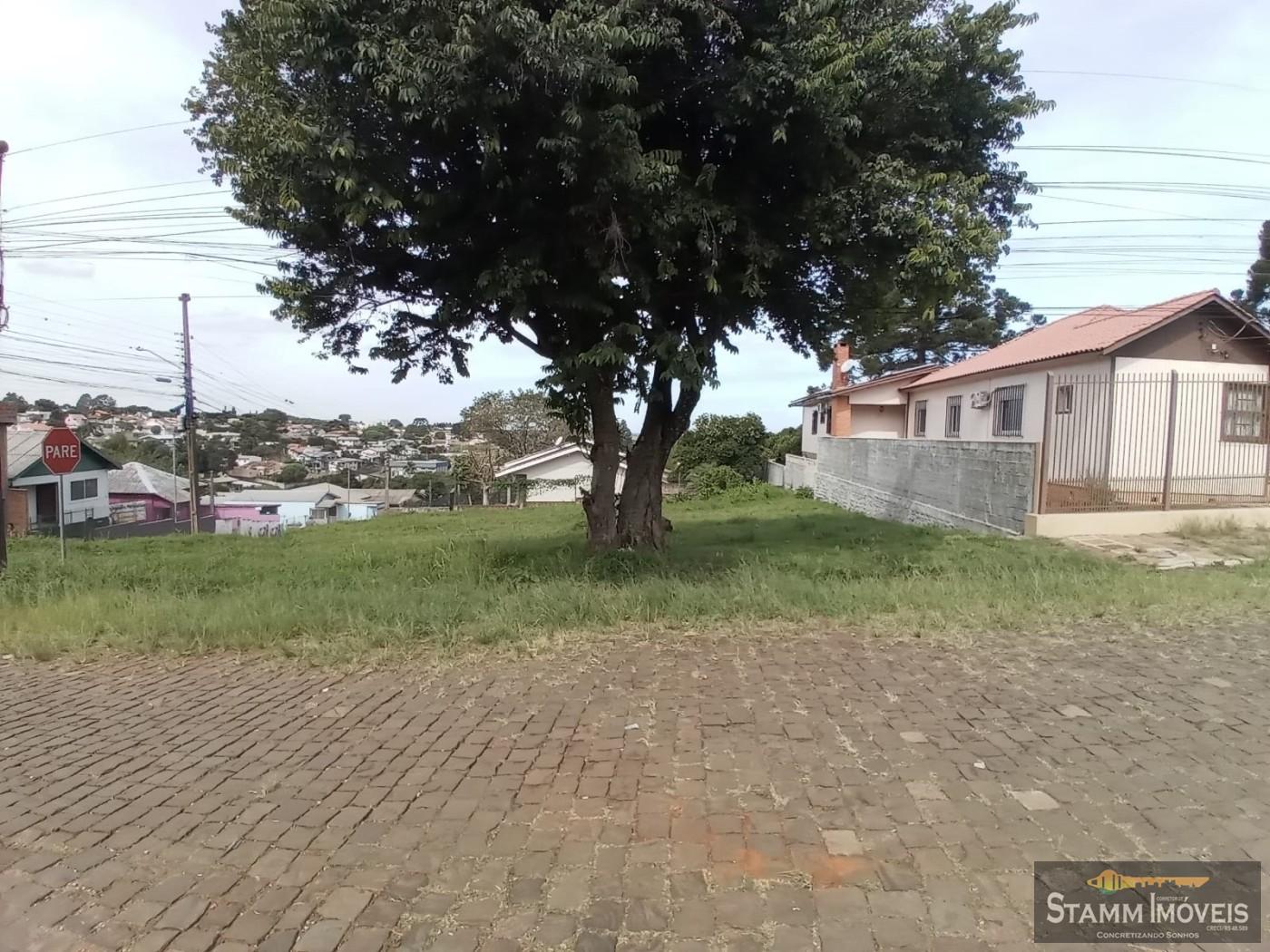 Terreno à venda, 251m² - Foto 2