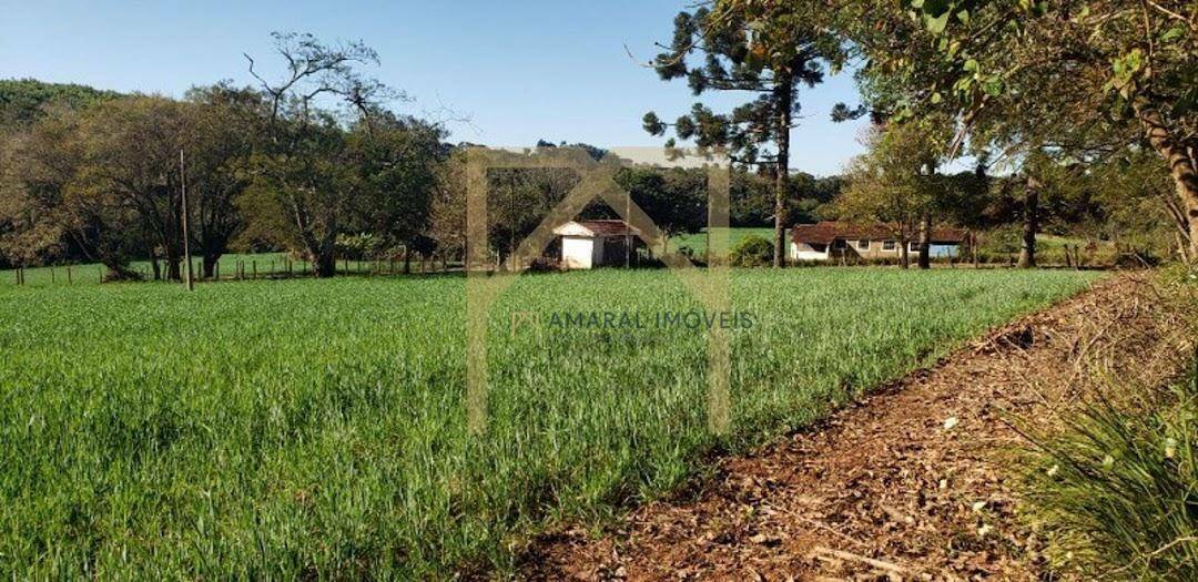 Fazenda à venda com 3 quartos, 210m² - Foto 39