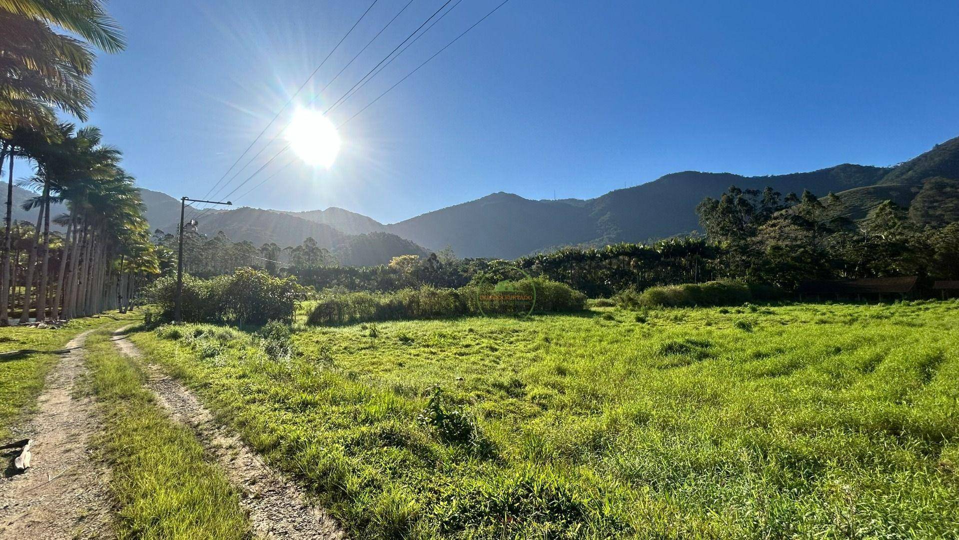 Sítio, 19 hectares - Foto 31