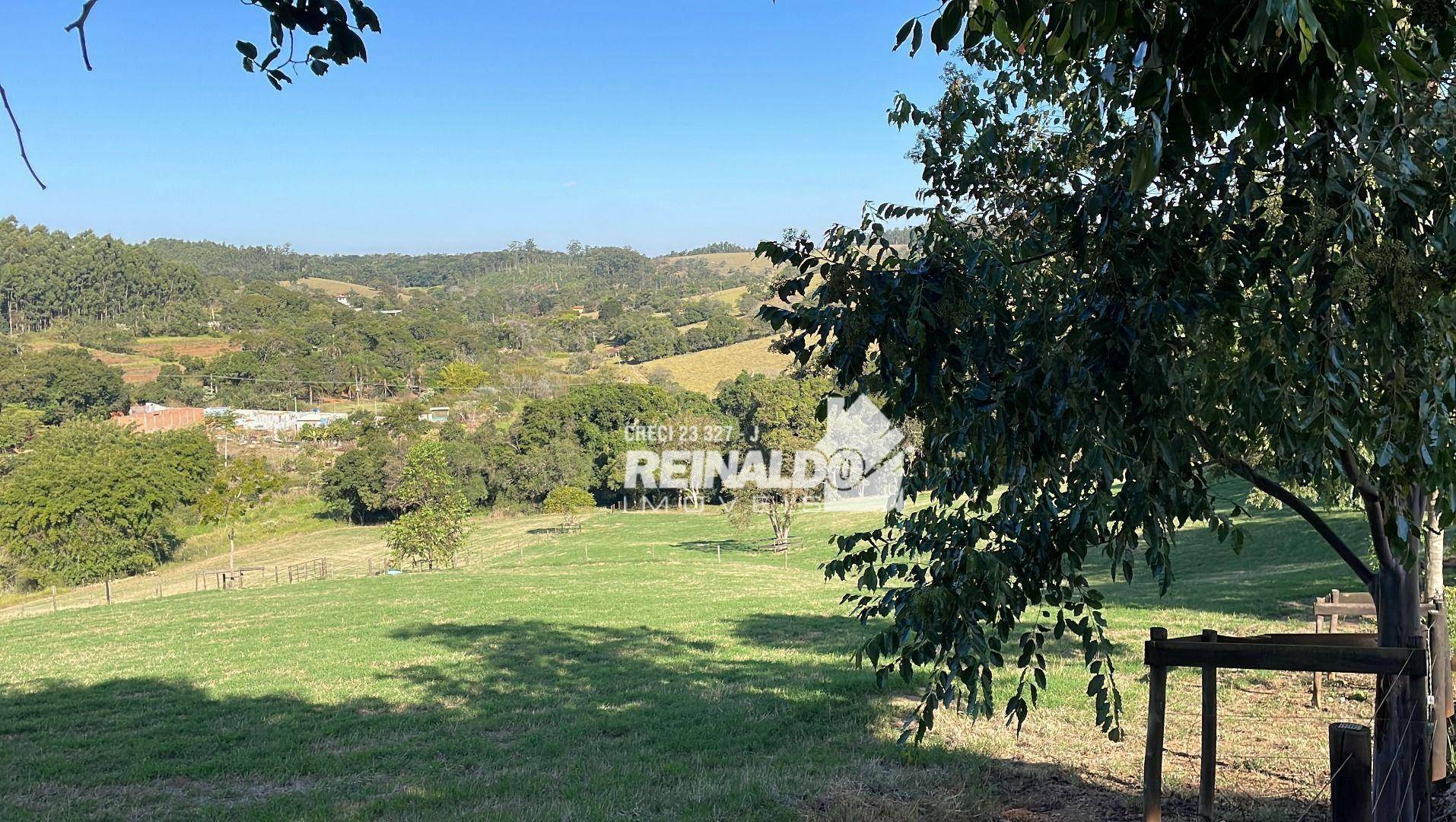 Haras e Área Rural Padrão à venda com 4 quartos, 1050m² - Foto 71